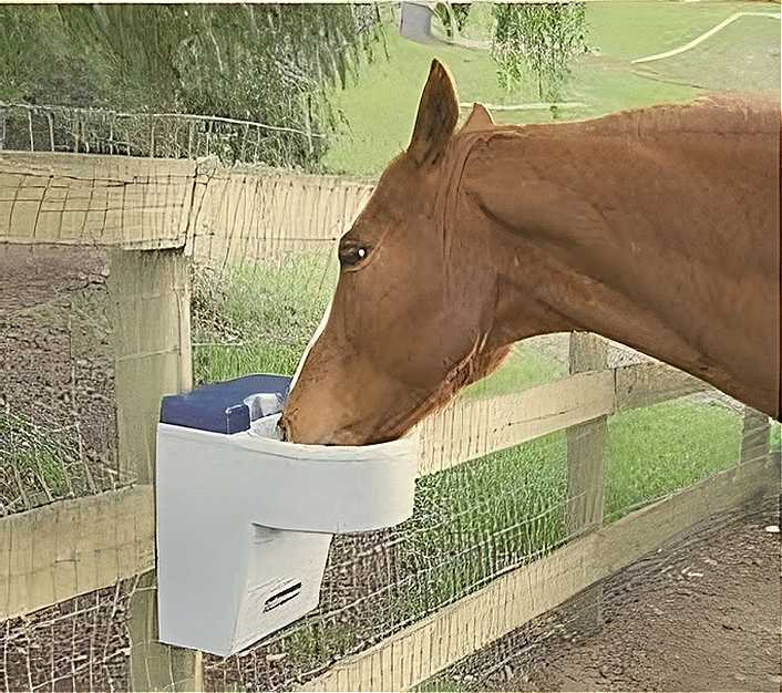 Automatic Equestrian Stall Waterer